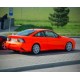 Automotive fluorescent paint 1L 