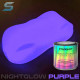 PHOSPHORESCENT AUTOMOTIVE PAINT 250ML