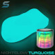 PHOSPHORESCENT AUTOMOTIVE PAINT 250ML