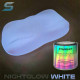PHOSPHORESCENT AUTOMOTIVE PAINT 250ML