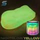 PHOSPHORESCENT AUTOMOTIVE PAINT 250ML