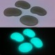 BIG PHOSPHORESCENT PEBBLES