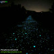 PHOSPHORESCENT FRAGMENTS   1Kg - 5Kg