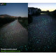 PHOSPHORESCENT FRAGMENTS   1Kg - 5Kg