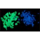 PHOSPHORESCENT FRAGMENTS   1Kg - 25Kg