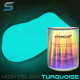 PHOSPHORESCENT AUTOMOTIVE PAINT BIG SIZE