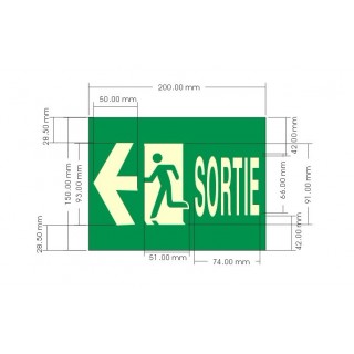 Printed signs on photoluminescent panels or adhesives