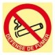 Printed signs on photoluminescent panels or adhesives