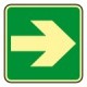 Printed signs on photoluminescent panels or adhesives