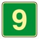 Printed signs on photoluminescent panels or adhesives