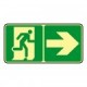 Printed signs on photoluminescent panels or adhesives
