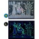 Ancient Egypt Collection" Phosphorescent Papyrus - 10 frescoes