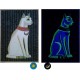 Ancient Egypt Collection" Phosphorescent Papyrus - 10 frescoes