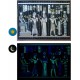 Ancient Egypt Collection" Phosphorescent Papyrus - 10 frescoes