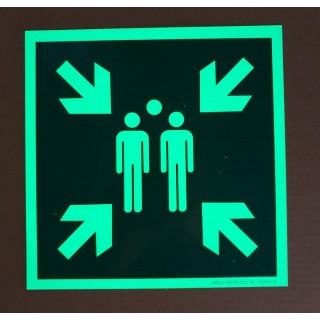 Photoluminescent Assembly Point Sign E007