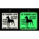 Phosphorescent sign Beware of dog