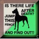 Phosphorescent sign Beware of dog