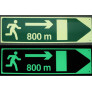 Photoluminescent panels for tunnels