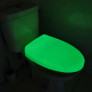 Phosphorescent toilet seat