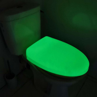 Phosphorescent toilet seat
