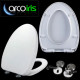Phosphorescent toilet seat