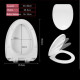 Phosphorescent toilet seat