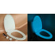 Phosphorescent toilet seat