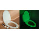 Phosphorescent toilet seat