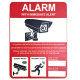 Phosphorescent surveillance camera panel 20 x 26,7 cm