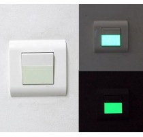 SWITCHES
